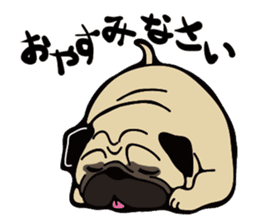 Pug is Lovely dog. sticker #6668058