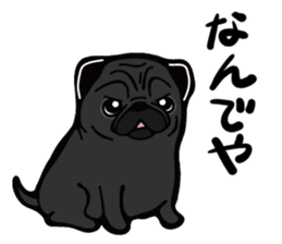 Pug is Lovely dog. sticker #6668061