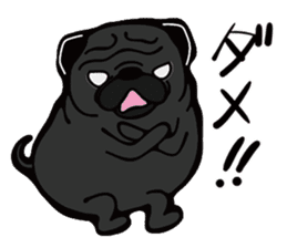 Pug is Lovely dog. sticker #6668062