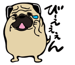 Pug is Lovely dog. sticker #6668068
