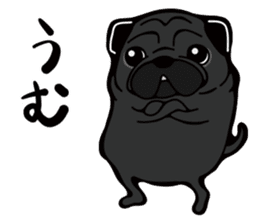 Pug is Lovely dog. sticker #6668069
