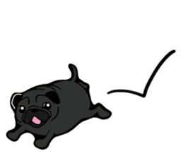 Pug is Lovely dog. sticker #6668072