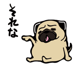 Pug is Lovely dog. sticker #6668078