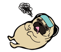 Pug is Lovely dog. sticker #6668083