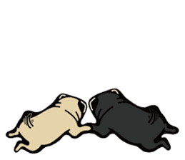 Pug is Lovely dog. sticker #6668087