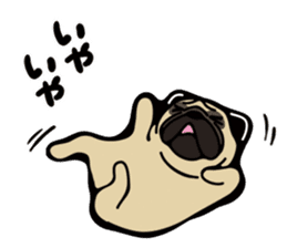 Pug is Lovely dog. sticker #6668088