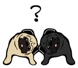 Pug is Lovely dog. sticker #6668089