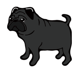 Pug is Lovely dog. sticker #6668090