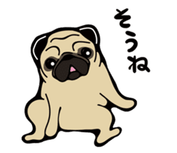Pug is Lovely dog. sticker #6668091
