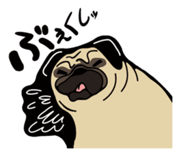 Pug is Lovely dog. sticker #6668092