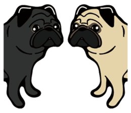 Pug is Lovely dog. sticker #6668094