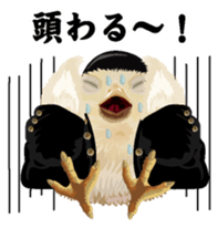 Hiyokobanchou2 sticker #6669018
