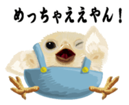 Hiyokobanchou2 sticker #6669037