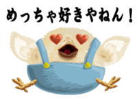 Hiyokobanchou2 sticker #6669041