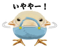 Hiyokobanchou2 sticker #6669042