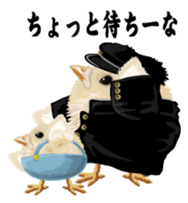 Hiyokobanchou2 sticker #6669048