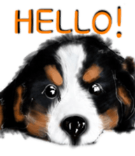BERNESE MOUNTAIN DOG RIN VerSion2 sticker #6672304