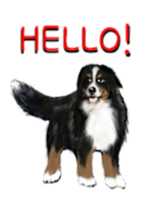 BERNESE MOUNTAIN DOG RIN VerSion2 sticker #6672305