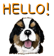 BERNESE MOUNTAIN DOG RIN VerSion2 sticker #6672306
