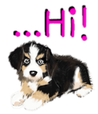 BERNESE MOUNTAIN DOG RIN VerSion2 sticker #6672307