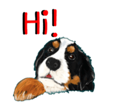 BERNESE MOUNTAIN DOG RIN VerSion2 sticker #6672309