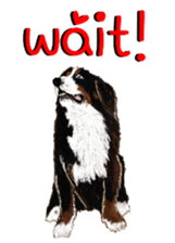 BERNESE MOUNTAIN DOG RIN VerSion2 sticker #6672310