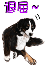 BERNESE MOUNTAIN DOG RIN VerSion2 sticker #6672311