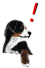 BERNESE MOUNTAIN DOG RIN VerSion2 sticker #6672313