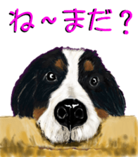 BERNESE MOUNTAIN DOG RIN VerSion2 sticker #6672314