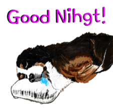 BERNESE MOUNTAIN DOG RIN VerSion2 sticker #6672315