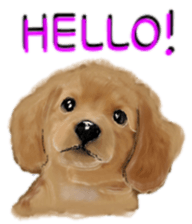 BERNESE MOUNTAIN DOG RIN VerSion2 sticker #6672316