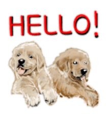 BERNESE MOUNTAIN DOG RIN VerSion2 sticker #6672317