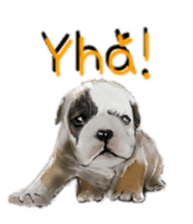 BERNESE MOUNTAIN DOG RIN VerSion2 sticker #6672319