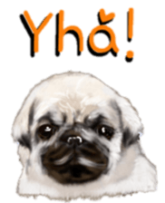 BERNESE MOUNTAIN DOG RIN VerSion2 sticker #6672320