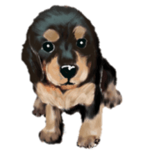 BERNESE MOUNTAIN DOG RIN VerSion2 sticker #6672323