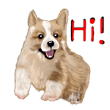 BERNESE MOUNTAIN DOG RIN VerSion2 sticker #6672324