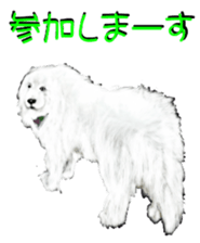 BERNESE MOUNTAIN DOG RIN VerSion2 sticker #6672325