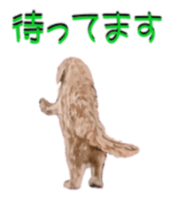 BERNESE MOUNTAIN DOG RIN VerSion2 sticker #6672326