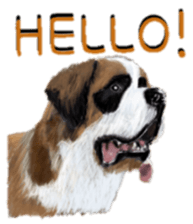 BERNESE MOUNTAIN DOG RIN VerSion2 sticker #6672328