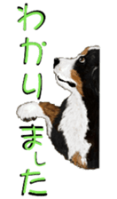 BERNESE MOUNTAIN DOG RIN VerSion2 sticker #6672331