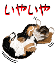 BERNESE MOUNTAIN DOG RIN VerSion2 sticker #6672332