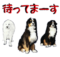BERNESE MOUNTAIN DOG RIN VerSion2 sticker #6672333