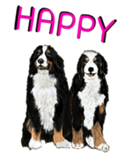 BERNESE MOUNTAIN DOG RIN VerSion2 sticker #6672336