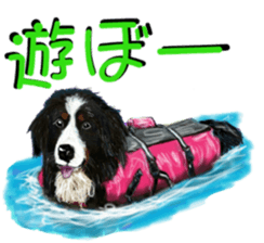 BERNESE MOUNTAIN DOG RIN VerSion2 sticker #6672338