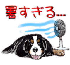 BERNESE MOUNTAIN DOG RIN VerSion2 sticker #6672340