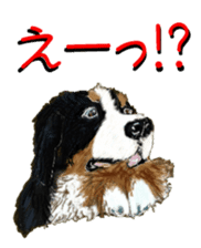 BERNESE MOUNTAIN DOG RIN VerSion2 sticker #6672341