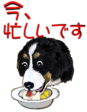 BERNESE MOUNTAIN DOG RIN VerSion2 sticker #6672342