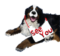 BERNESE MOUNTAIN DOG RIN VerSion2 sticker #6672343