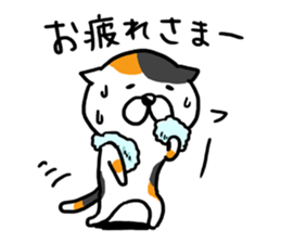 Game everyday tortoiseshell cat and pig sticker #6673243