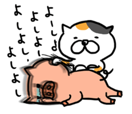 Game everyday tortoiseshell cat and pig sticker #6673263
